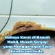 Bahaya Karat di Bawah Mobil Musuh Senyap yang Menggerogoti Sasis Kendaraan Anda 80x80