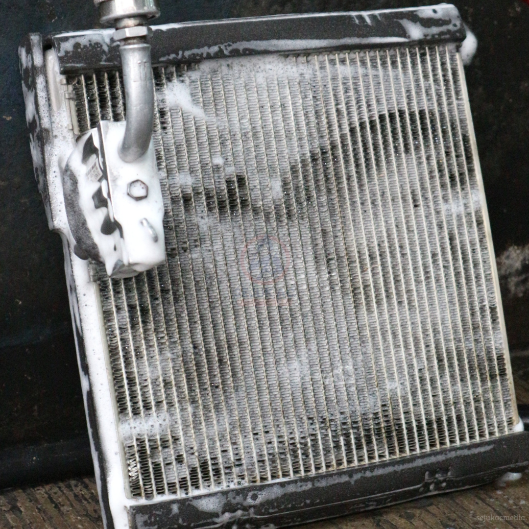 Cuci Evaporator AC Mobil