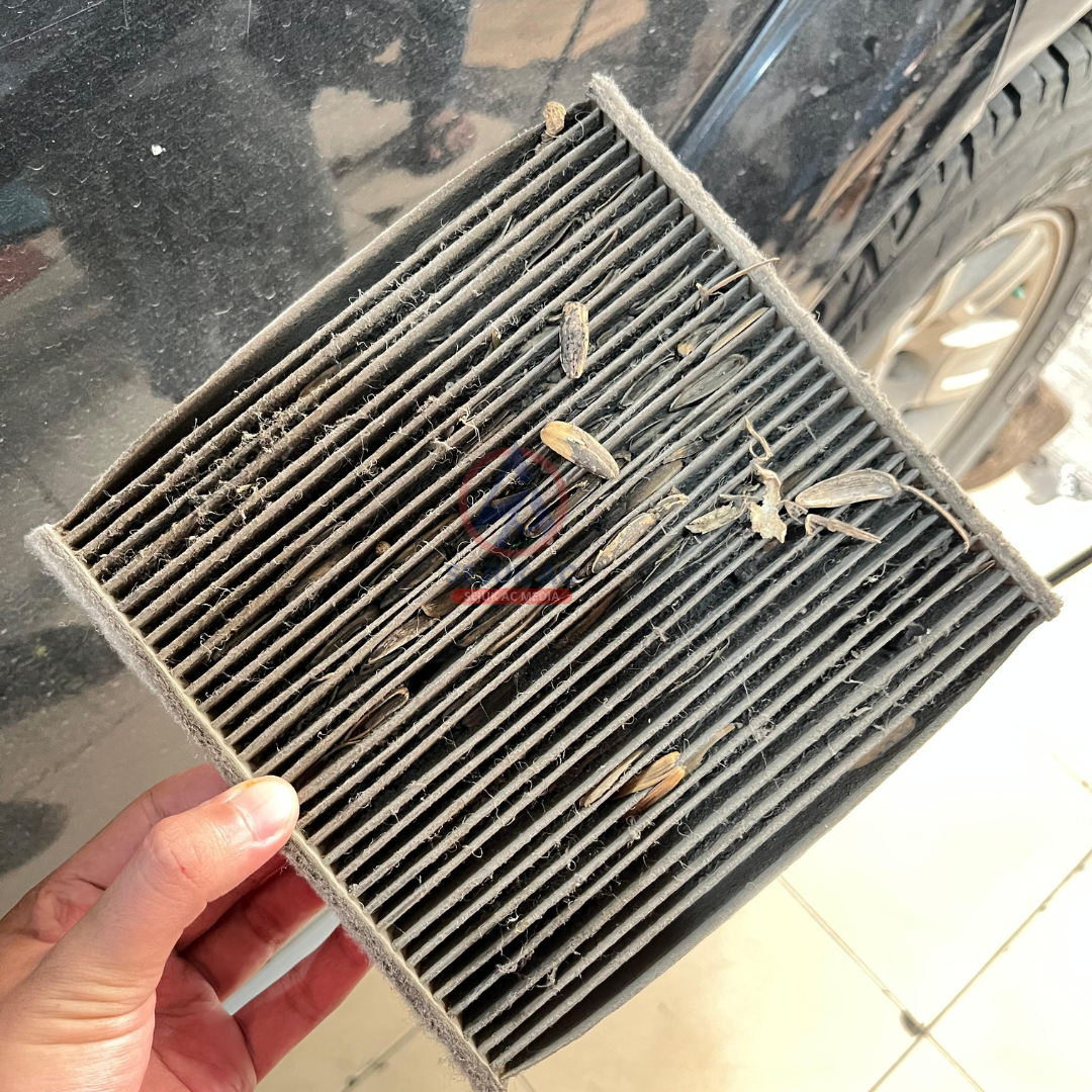 AC Mobil Bau Bangkai