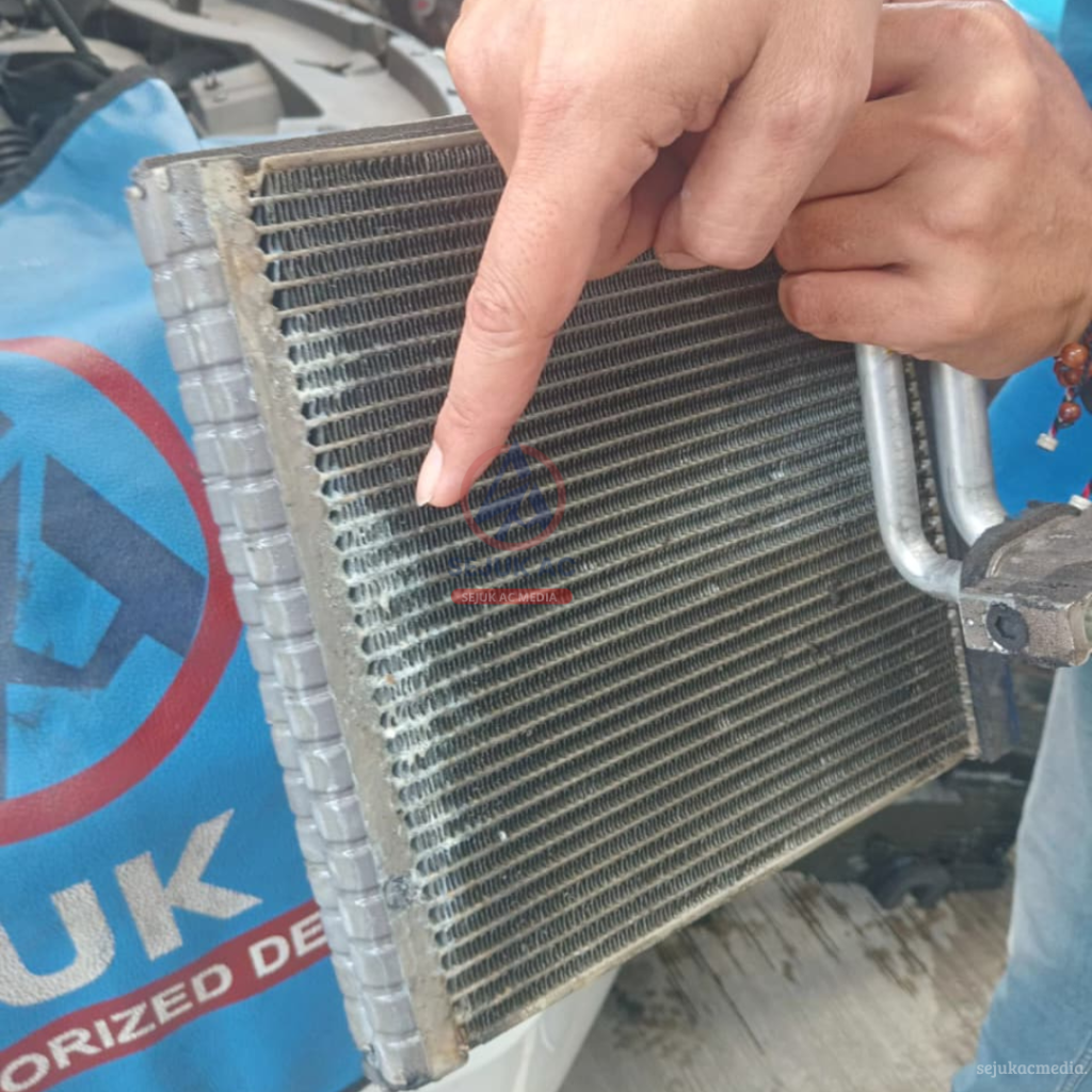 Evaporator Bocor Halus