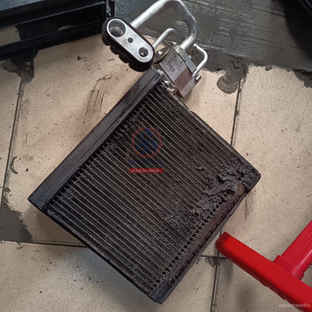 Evaporator Bocor Halus